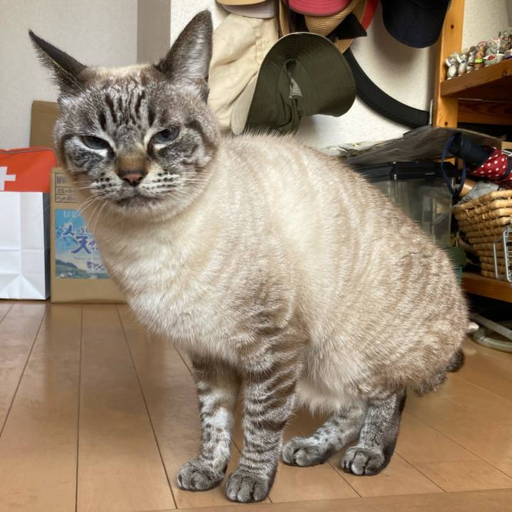 42b8d8df 901d 489f 919c 6ea6608dbf13 1770686612578