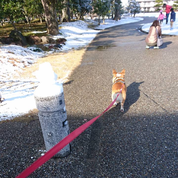 42b91267 b37c 42fa ab87 8fd4e4c445cd 1640572503155