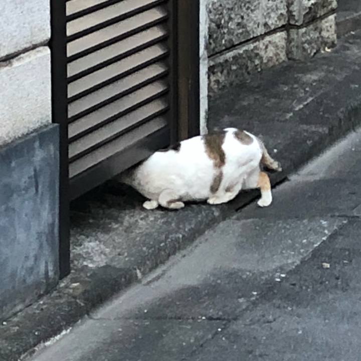 42b9179e 54e3 4bec b6f6 2981bcb945a7 1515322526667