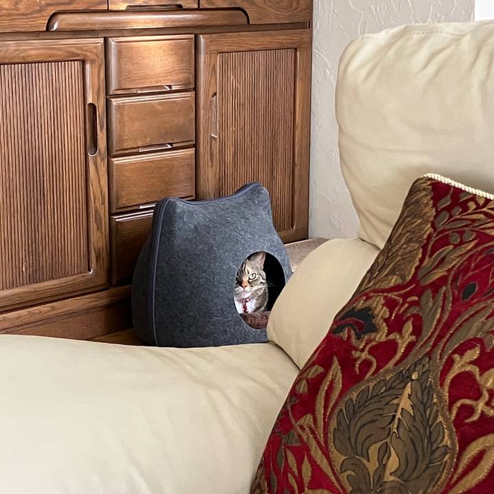 42b91827 6890 46b9 a3de 268f19e15c94 1768530886087