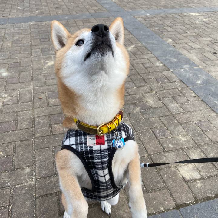 42b9474f aa71 4e2c 9875 c261085bfa2d 1639490732023