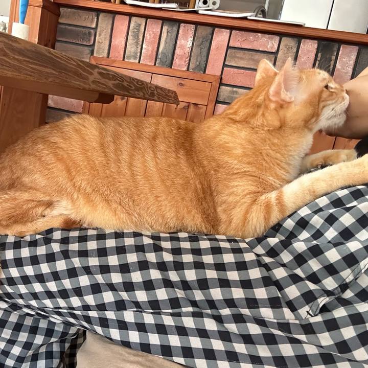 42b9539c dd35 4457 87b2 9a0d402c3fbc 1690679797306