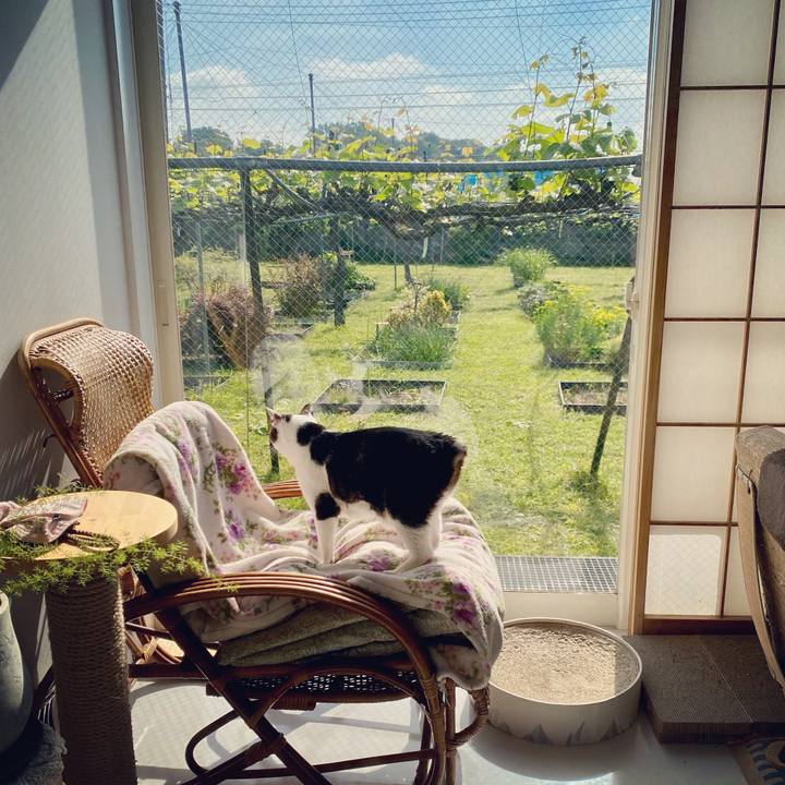 42b99298 90ee 4885 9d92 41f349678f5c 1620948101538