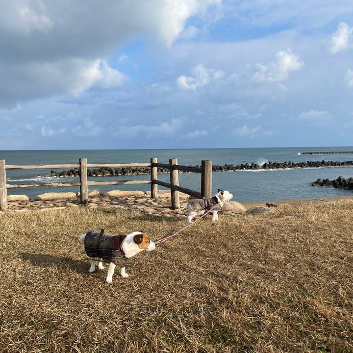 42b9a30e be97 47f2 9deb 45a1a62bd2da 1742425717031