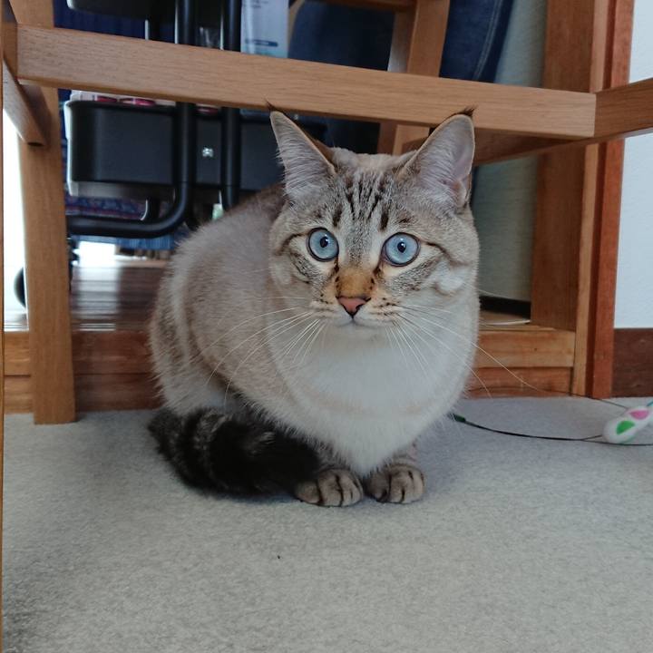 42b9c49f 3636 458c 85ab 525e0bb5ff62 1519870311130