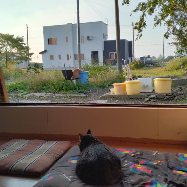 42b9fcf8 67d2 4b37 a786 139e5531c9d3 1664746304402