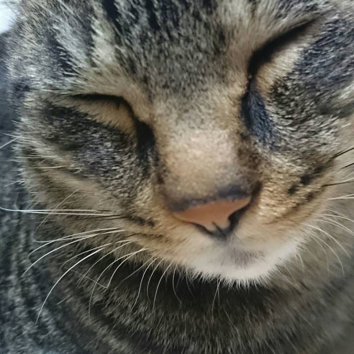 42ba1464 d8f9 4d32 9064 9970c3bbe2e5 1509794759984