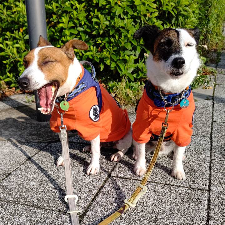 42ba20bb a290 40a6 9f8e e0e86d192473 1620943560326