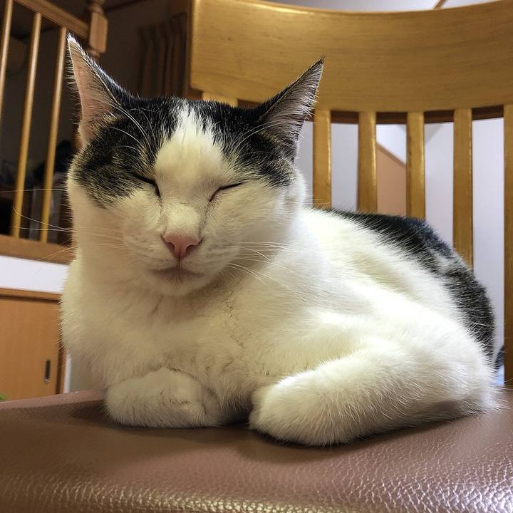 42ba29b7 7549 4a4d afde b6afe42c9983 1665145919306