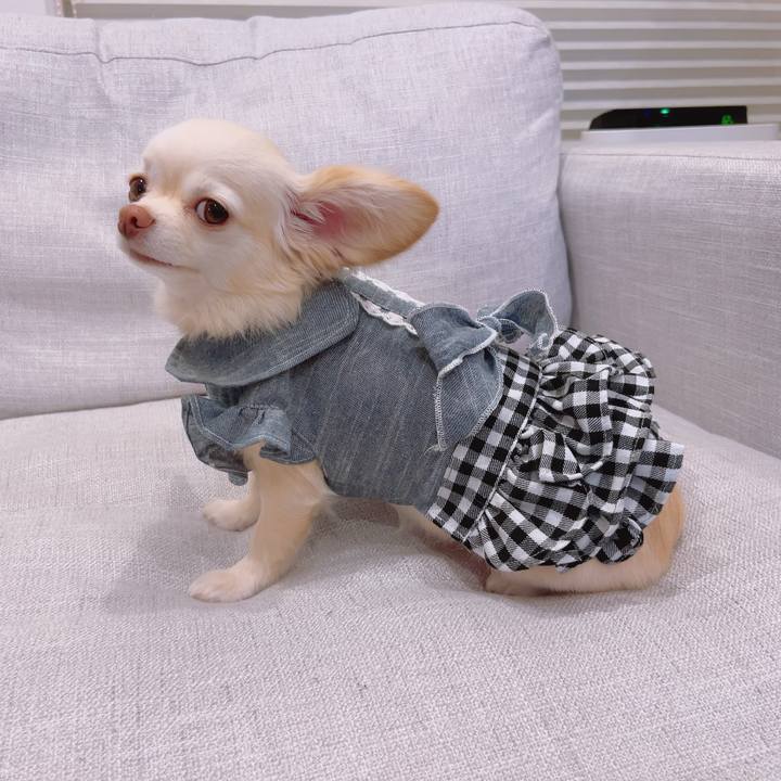 42ba9923 3af9 4754 8710 1498fa651113 1688990562793