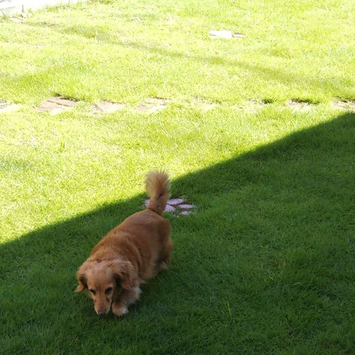 42badf19 b470 4bff a97a cf0aa2e0b28c 1592349822020