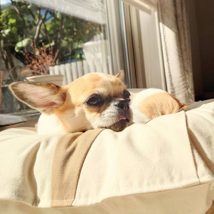 42bb0572 5789 4a9a 97d3 89ad4a8af5ee 1667016367167