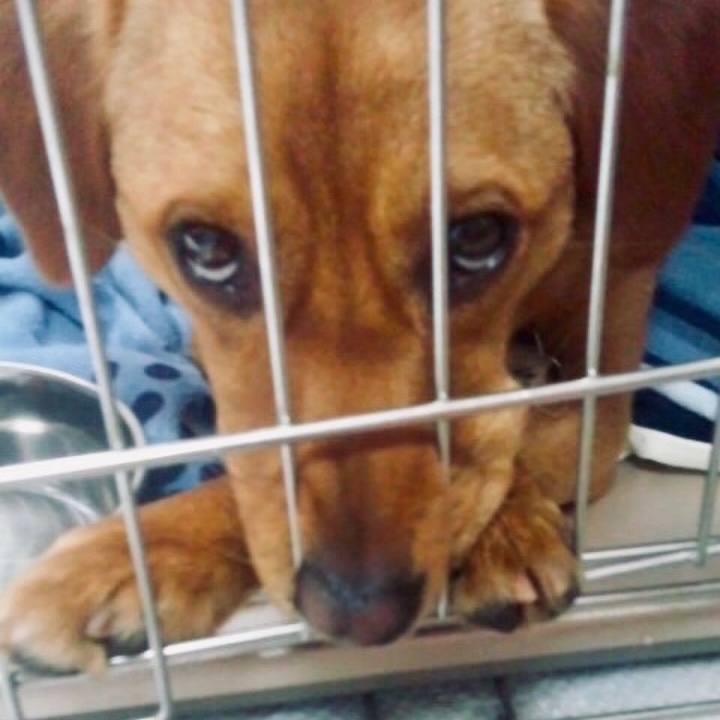 42bb0843 08f6 4629 974a 654c4a23bd82 1548586641099