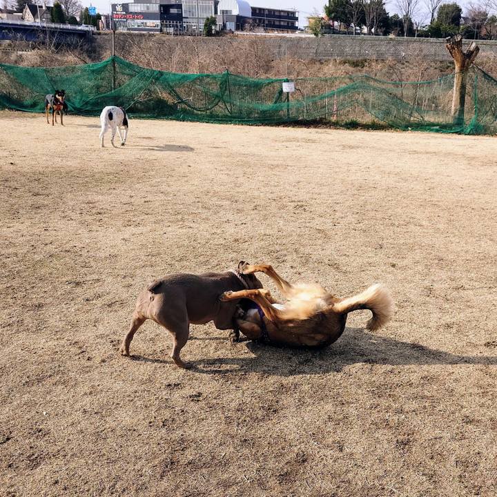 42bb17a5 ee6c 4b7e 82bd 70f37507846c 1741394801764