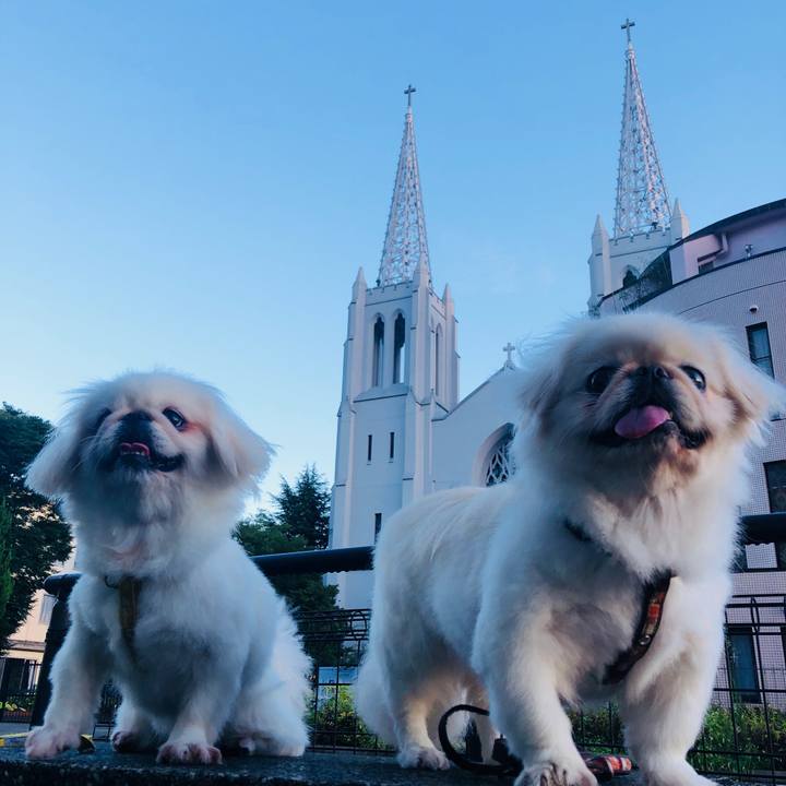 42bb7ead 5bc1 4c1c 8ab1 63bf67324493 1599859403230