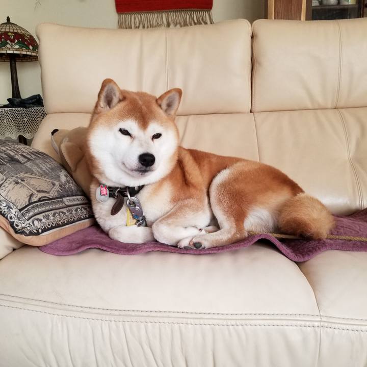 42bbe10b fdf7 4286 a6ba 8dfa3fb6b991 1603151623145