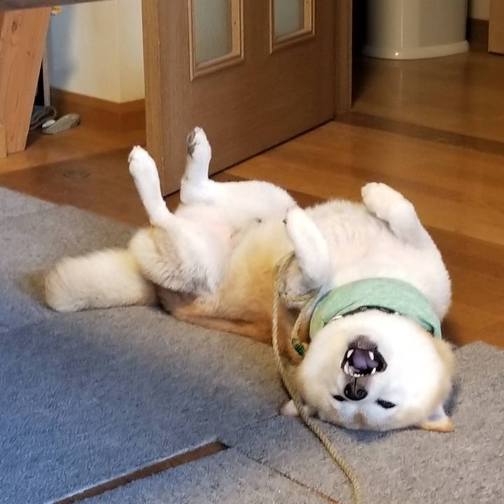 42bbe609 2367 4aa0 9974 78002a1fdb0f 1658216853161