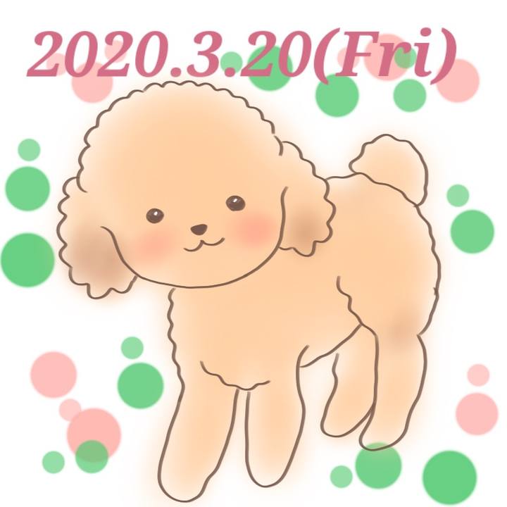 42bc032b cd06 4287 b786 c112d8cb55d6 1584662373104