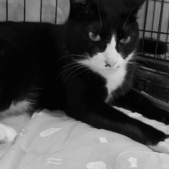 42bc175e 570b 4f53 95b1 65006700de18 1752831252421