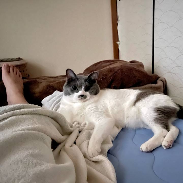 42bc4d78 9ffc 433a a935 2e7e4d9cff56 1661031851708