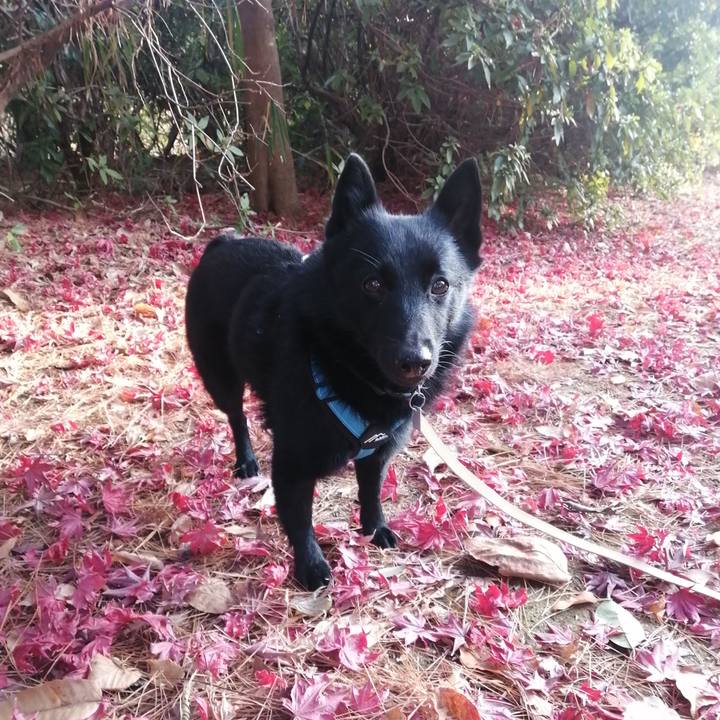 42bc6df6 8891 4f4e bd32 06784a10a6c1 1639522932762