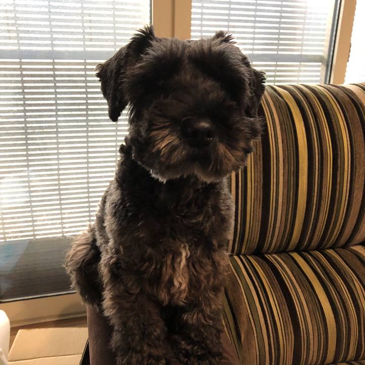 42bca4c7 8651 4a85 92c1 78a8d0805320 1572046942716