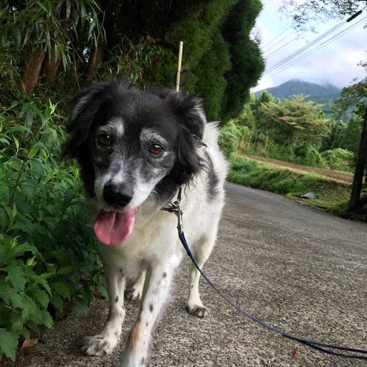 42bca867 b95f 4ef0 97ca 8910ab5363ce 1534168335962