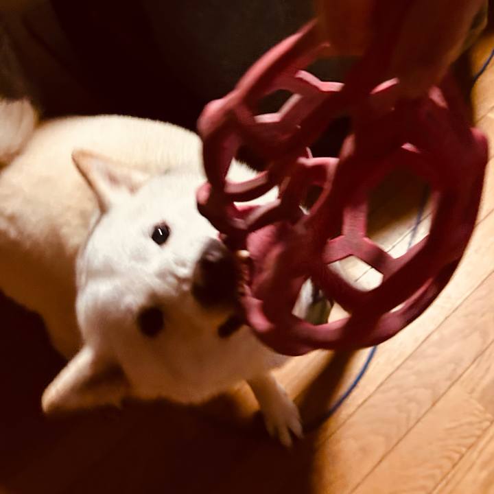 42bcd3ce 42ed 4453 a93f 34d54f4dbd04 1697804405867