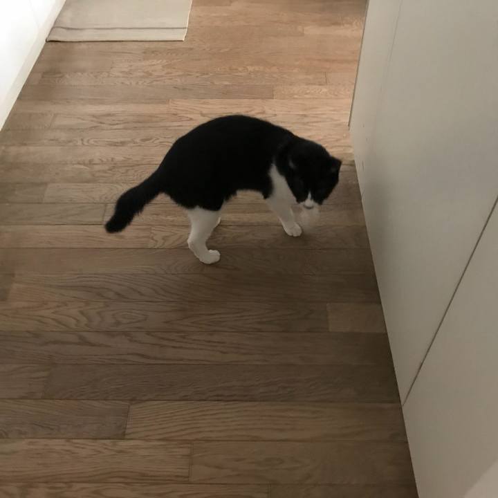 42bcf08f 24a6 444e ae0c 5cb42aaec91e 1511334704364