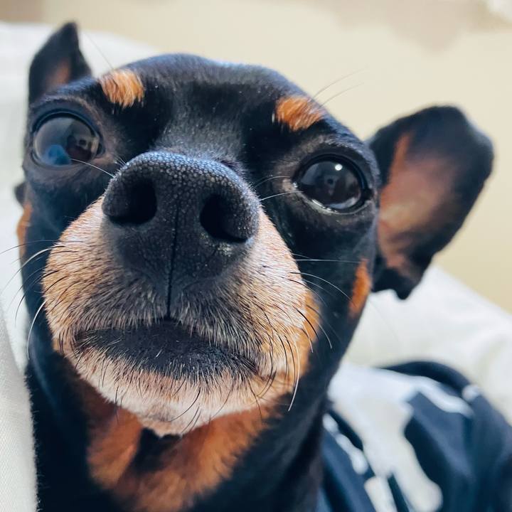 42bd0b99 02f4 41d3 bbcb 4123c65e7c7b 1720009478361