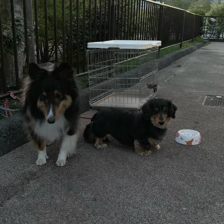 42bd4ee8 ee74 42a9 a3f7 48291589ed38 1556877147878