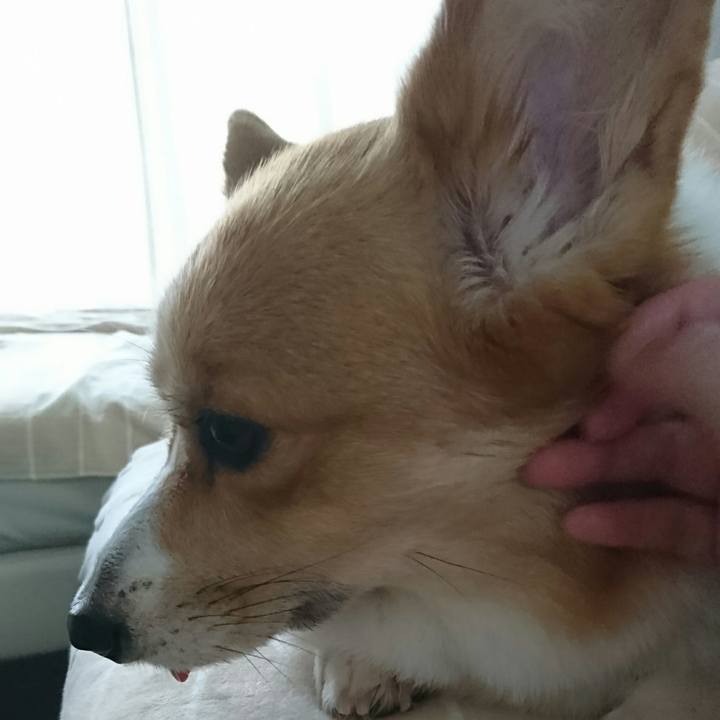 42bd515f ee06 4692 b15b afa564f0f94b 1538360367885