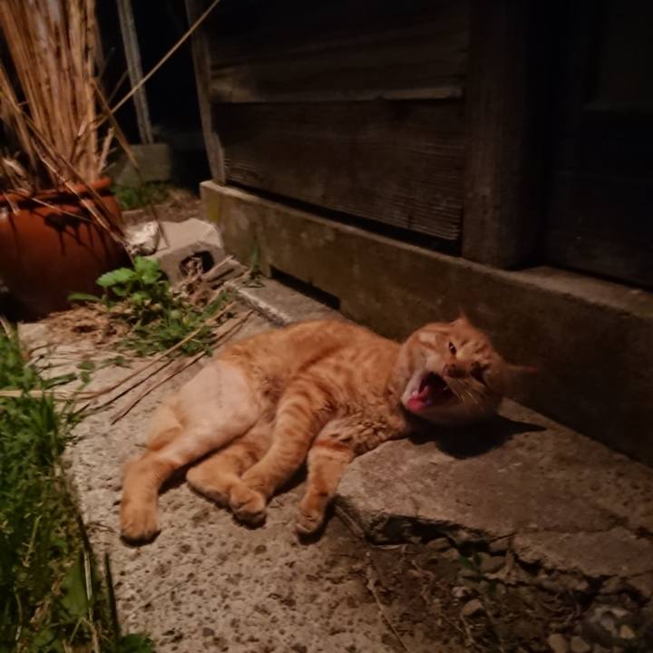 42bda852 90a6 4874 b28f 99751ae41c54 1655811312175