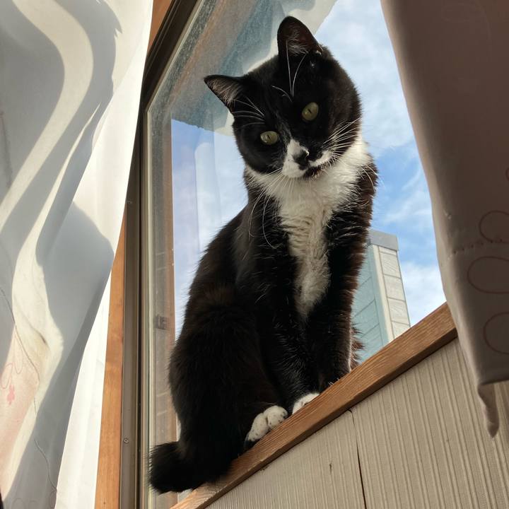 42bdfcda 9a2d 47f9 b179 4657aa8f6592 1670989177007