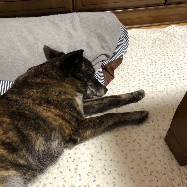 42be10b9 a397 41aa 992e de6036b6751e 1563201582597