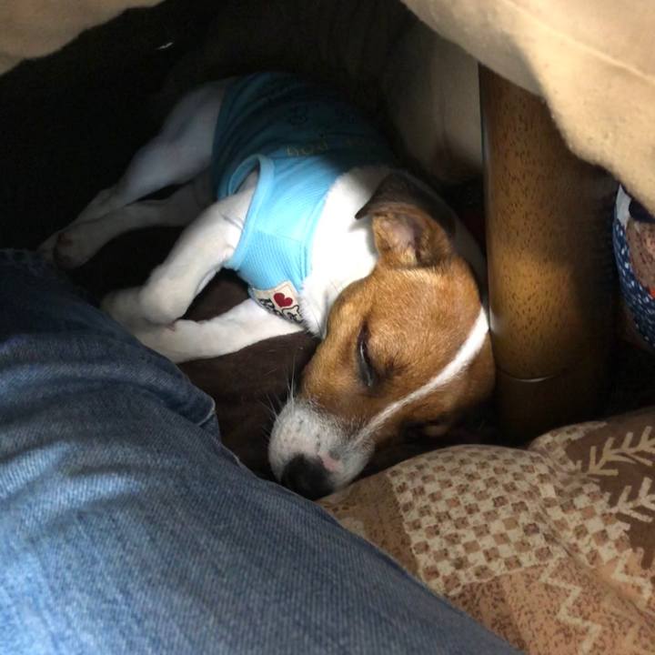 42be28eb d303 47e8 b53c 1296d1881d50 1526859165146