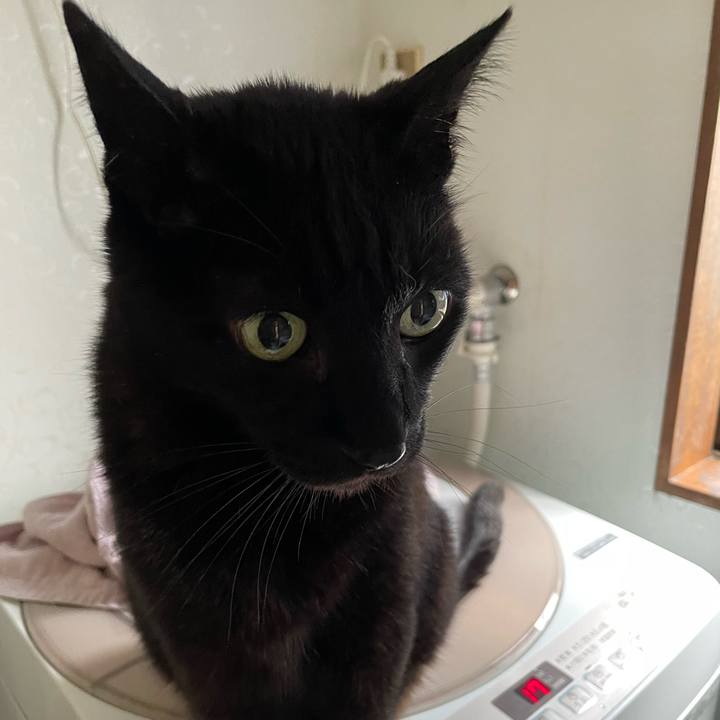 42be3255 8deb 4861 b570 191ad04c8037 1656036658385