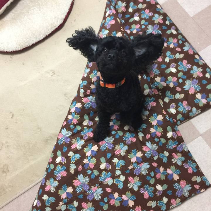 42be5635 3c97 4ef6 a6f7 593b6d63e81e 1529564660133