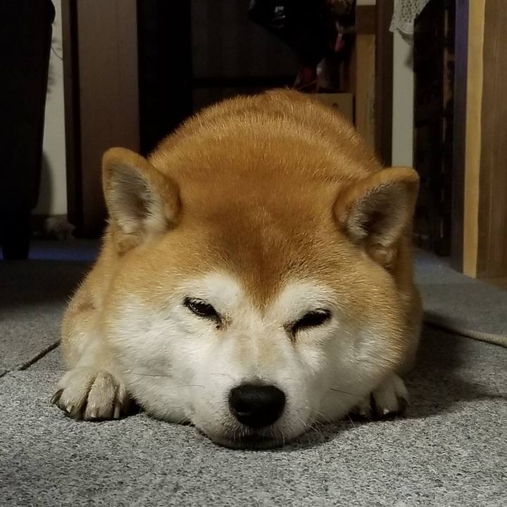 42be63fa 6127 48fb 9ac4 ca0d08999c4b 1574502143084