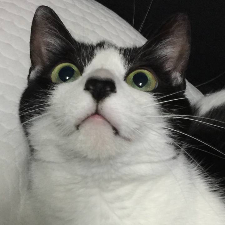 42be7fe9 daab 432e b34e 05d545c926fc 1585868726952