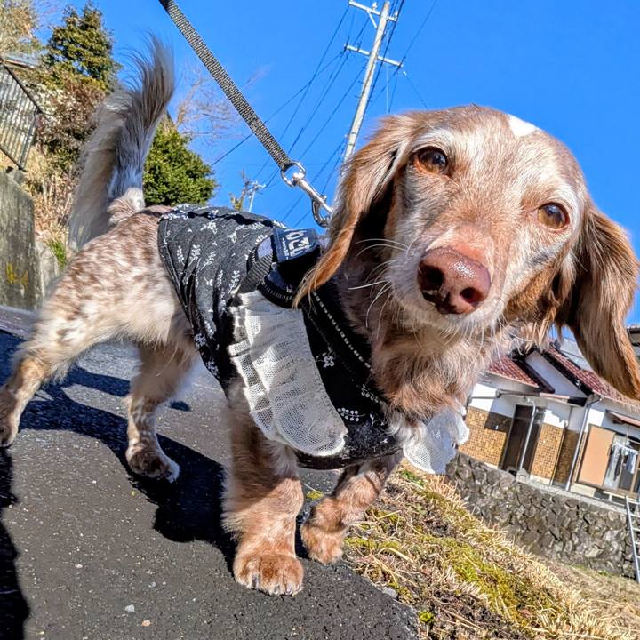 42bead76 2364 4d86 ab7b e7c95059d345 1772063976806