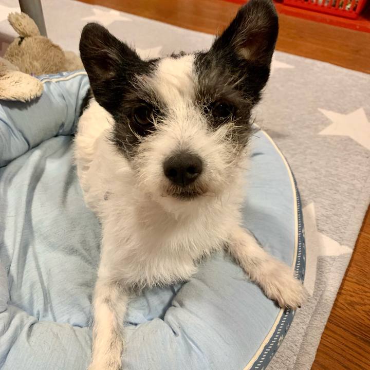 42bec909 bb2b 46cc 9c2e 5c6512292563 1626443381812