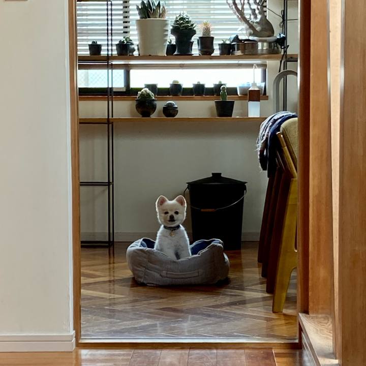 42bf3086 1be7 4d0a a79e e67fa9e252f8 1617854131954