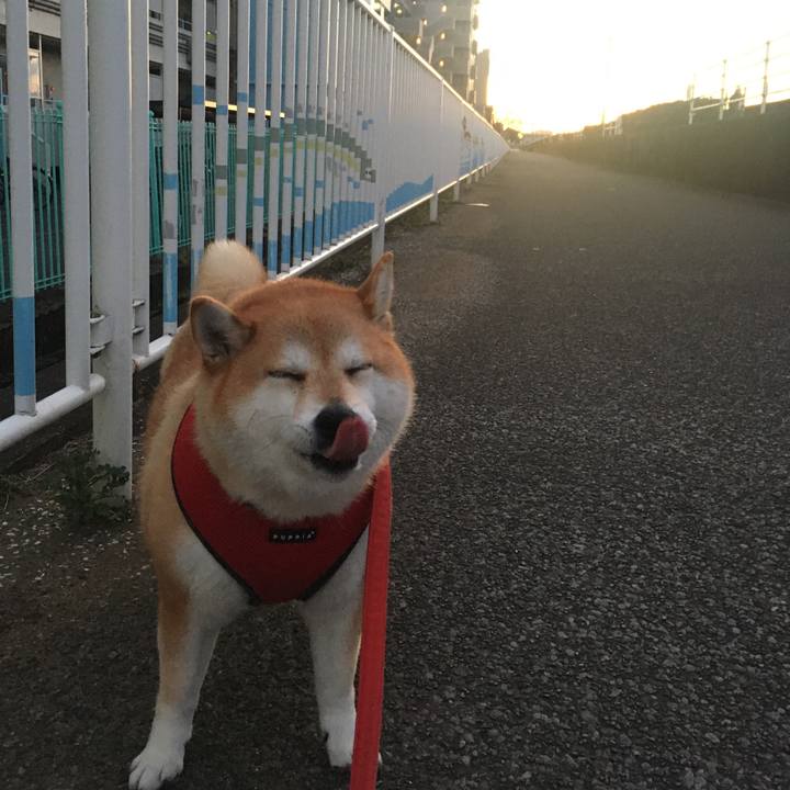 42bf701b de22 462c 9ba7 1dbbcc76afea 1610180196114