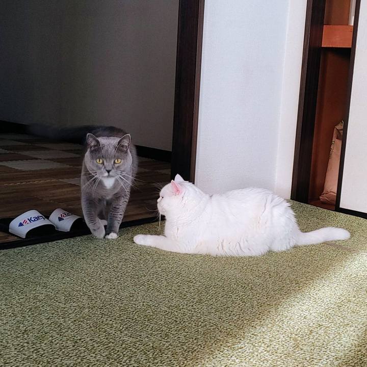 42bf74eb abe6 4e31 a730 52073e7d1476 1668233198228