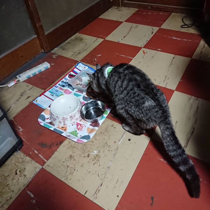 42bf9f2e 809f 4fab acf4 ebf3ade39a2d 1587499298022