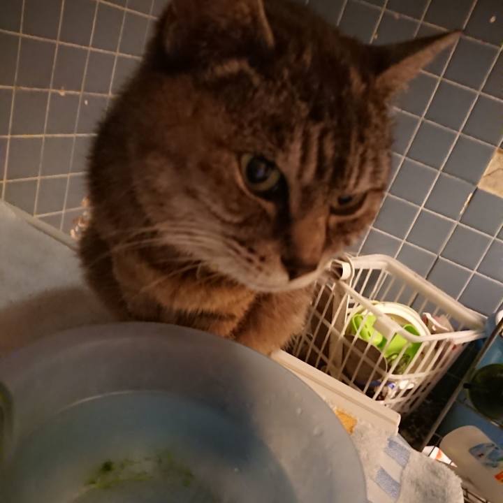 42bfad56 68d7 4d70 8b5a 4ae2162db230 1569062169873