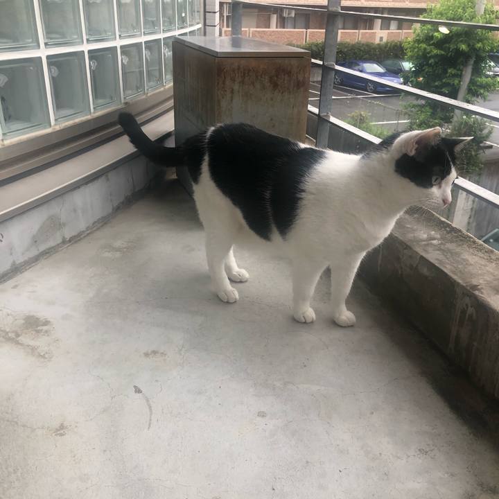 42bff8f0 9f42 4840 b1a7 dfc74ab8bbaf 1563746755960