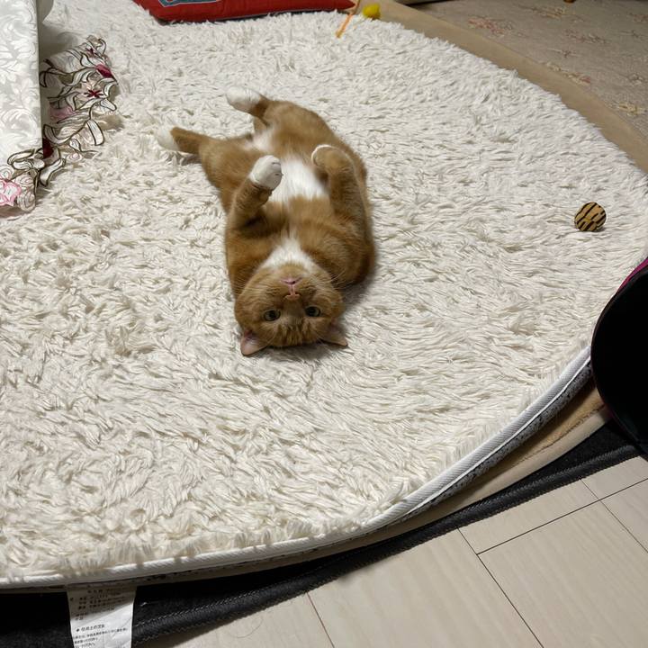 42bff9b6 d32c 4fc9 9986 79b782e4d4a1 1628766719785