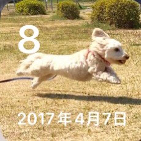 42c038cc dca2 498d a144 4bea9e297e99 1680919753110